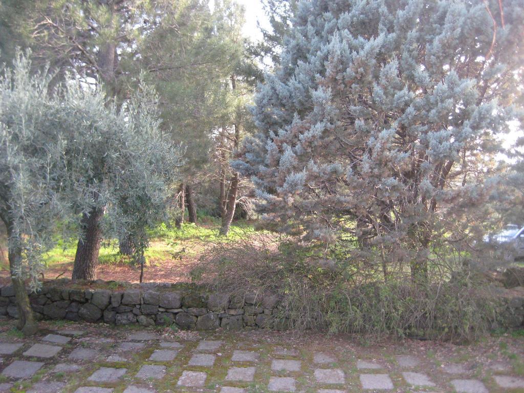산타마리아디리꼬디아 La Casa Del Cavaliere 빌라 객실 사진